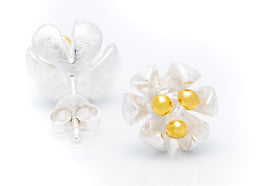 Silver stud earrings