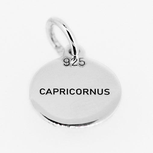 Capricorn star sign pendant